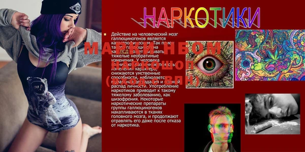 a pvp Баксан