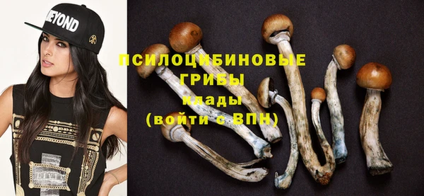 молекула духа Армянск