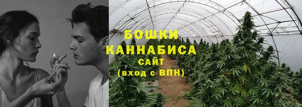 трава Балахна