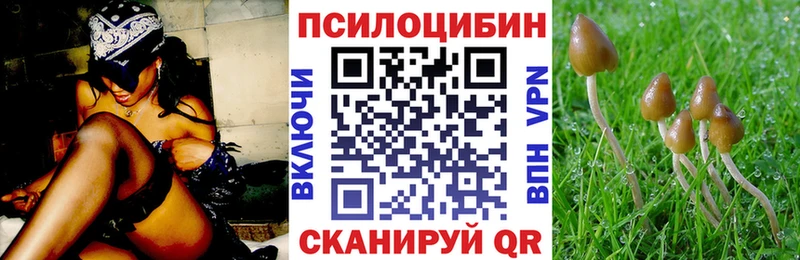 как найти закладки  Кубинка  Галлюциногенные грибы мицелий 